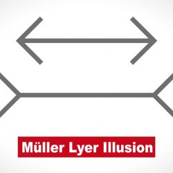 Optical illusion – line length